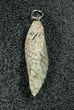 Agatized Dinosaur Bone (Gembone) Twist Pendant #54075-2